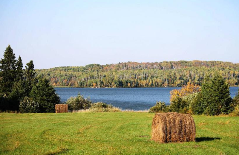 Lake view at North Country Inn.