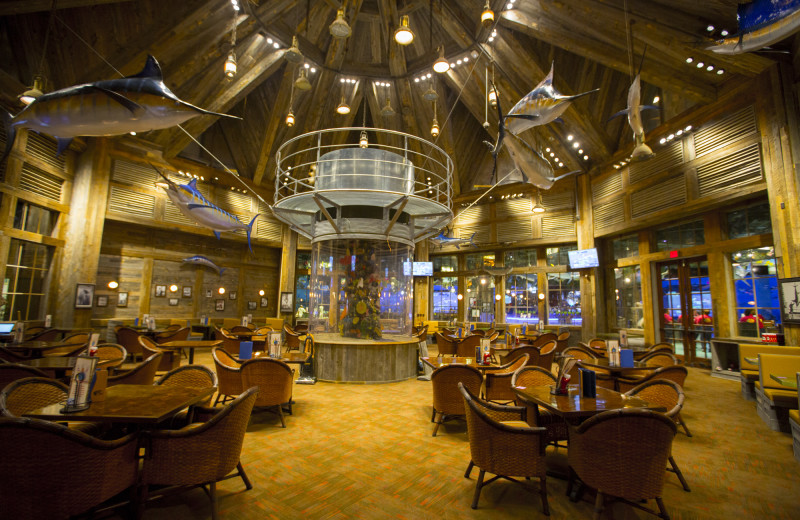 Dining at Big Cypress Lodge.