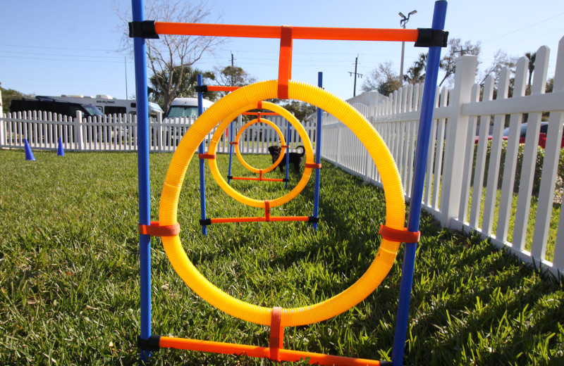 Dog park at Southern Oaks Inn.