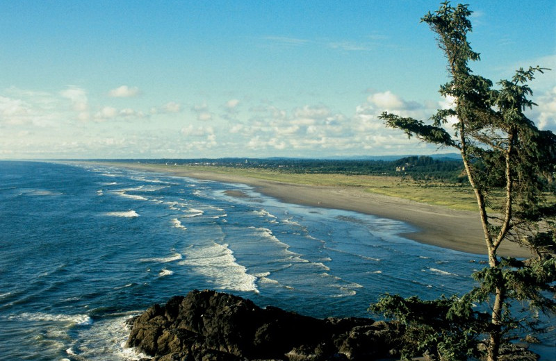 Beach and Surf at Oceanfront Getaways