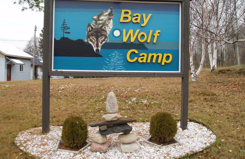 Welcome to Bay Wolf Camp.