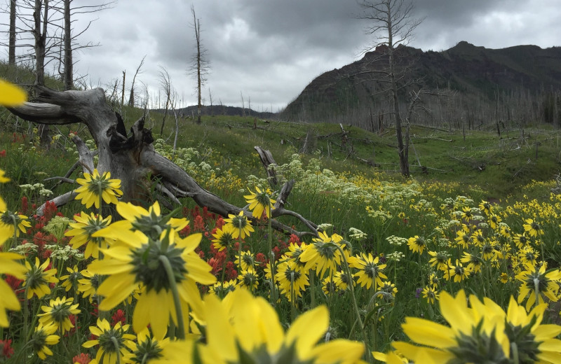 Hiking at Trappers Lake Lodge & Resort.