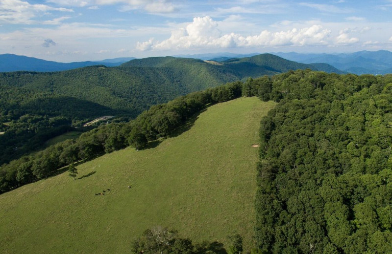 Aerial view of Cataloochee Ranch.