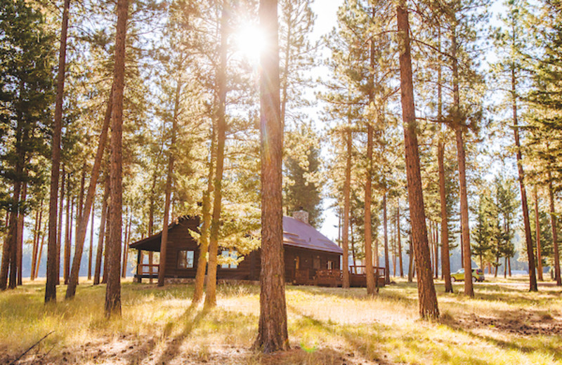 Cabin at The Resort at Paws Up