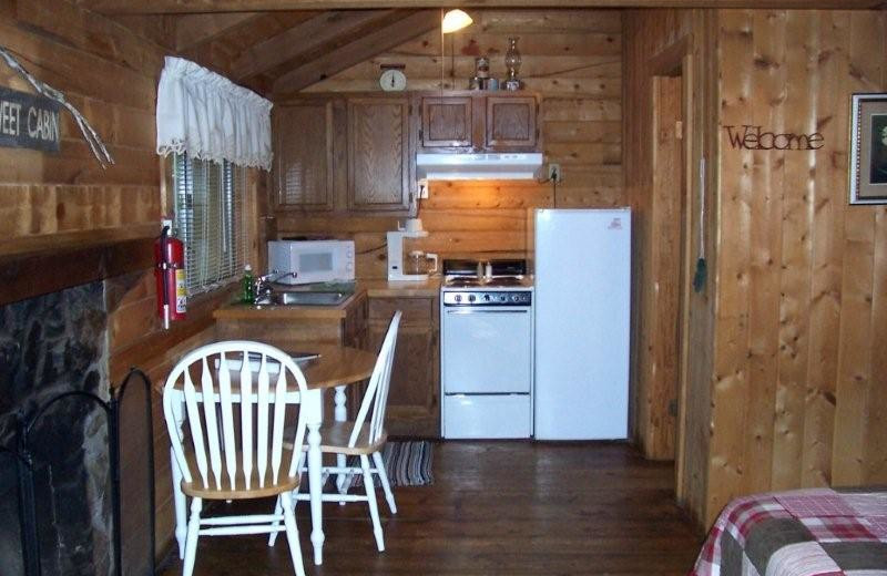 Cabin kitchen at The Whip Poor Will Resort.