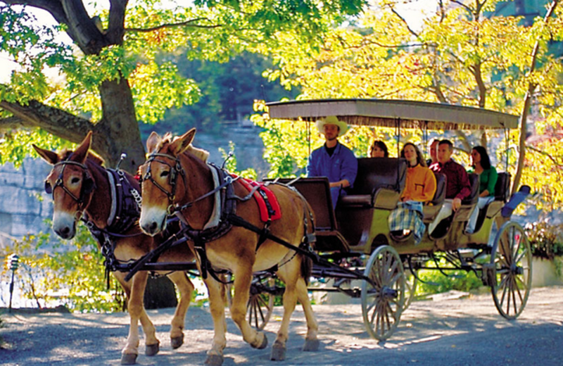 Carriage rides at Mohonk Mountain House.