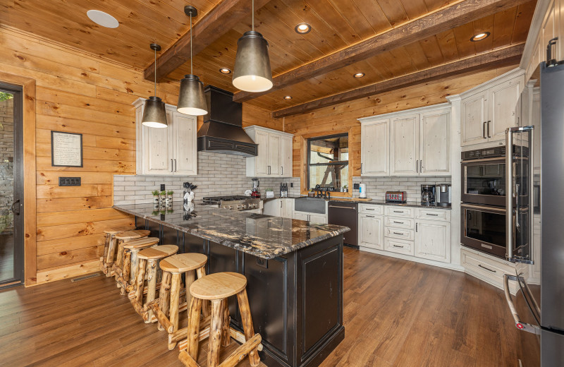 Kitchen at Bears & Biscuits Lodge.