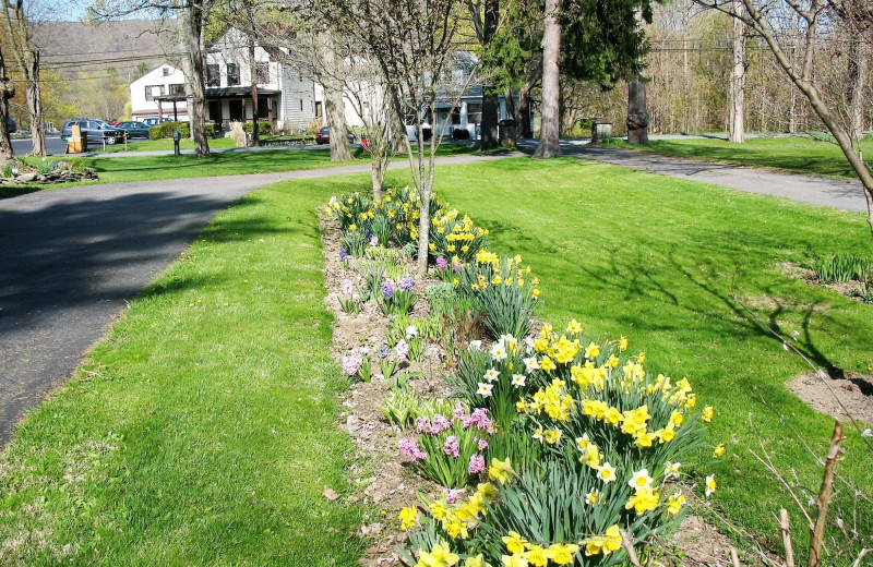 Garden at Stonegate Bed & Breakfast.