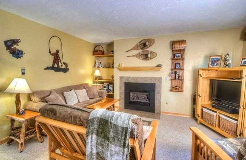 Vacation rental living room at Alpine Meadows Management.