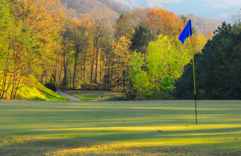 Golf course near Timbers Lodge.