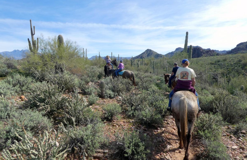 Horseback riding at Saguaro Lake Guest Ranch.