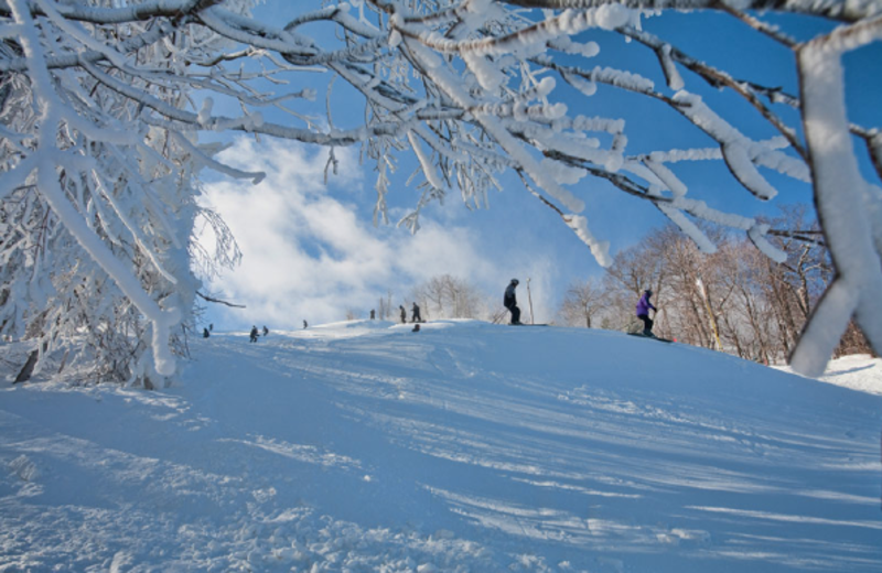 Skiing by Delaware Court Motel.