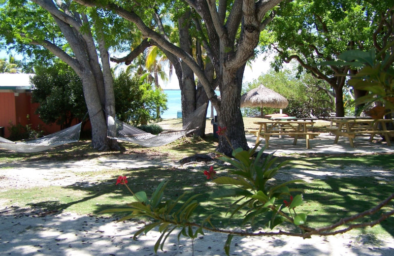 Exterior view of Rock Reef Resort.