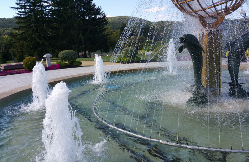 Our Beautiful Fountain Up-close! What a great area to sit and have lunch or read a book!