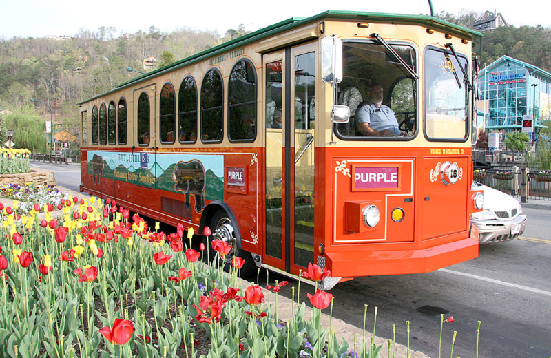 Trolley at Smoky Creek Cabin Rentals.