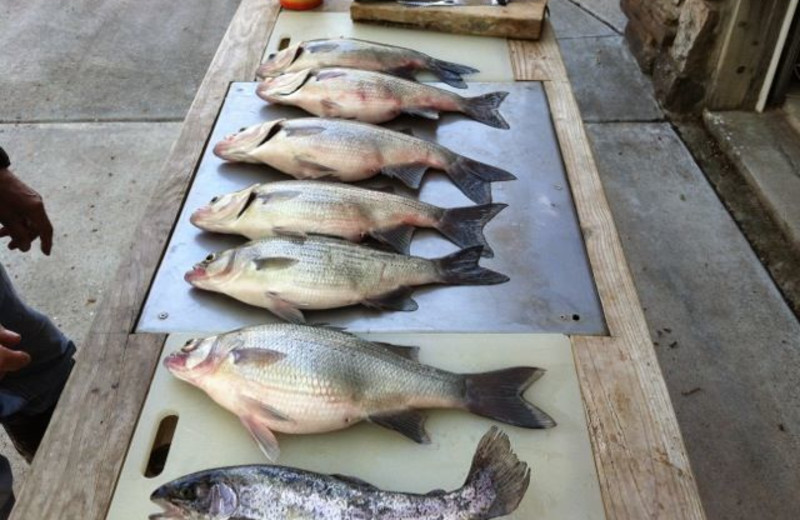 Fishing at Can-U-Canoe Riverview Cabins.
