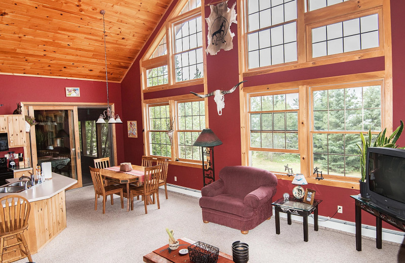 Cabin living room at Skyport Lodge.