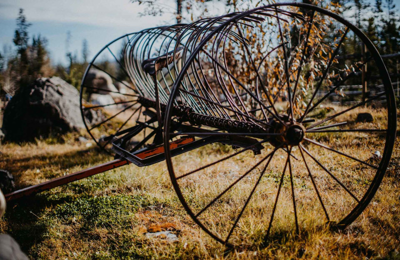 Wagon at Big Creek Lodge.