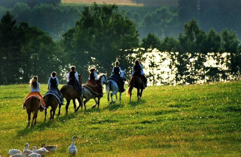 Horseback riding at Black Diamond Vacation Rentals.