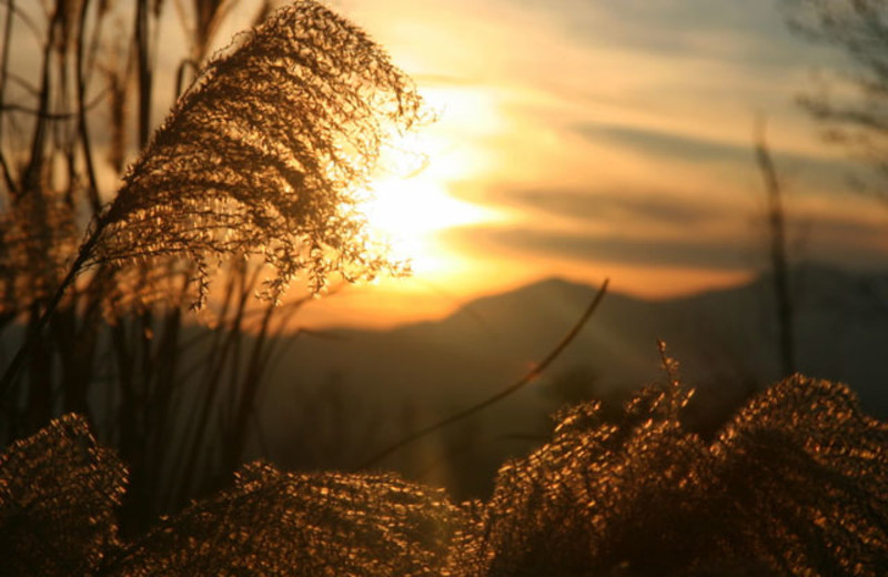 Sunset at Campfire Lodgings