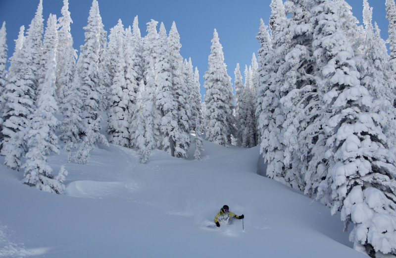 Skiing at Bella Vista Estate.