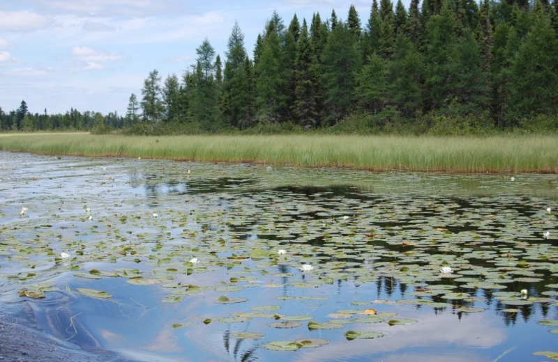 The Lake at Temple Bay Lodge