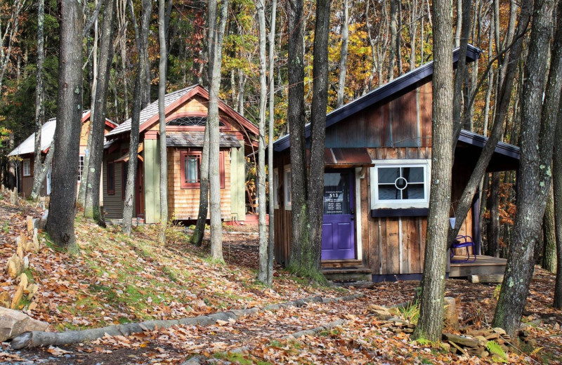 Tiny houses at Blue Moon Rising.