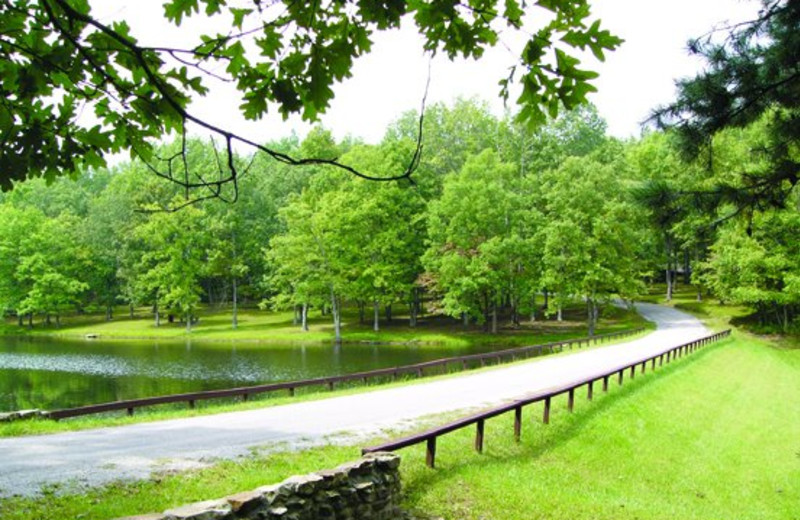 Beautiful view at Caryonah Hunting Lodge.