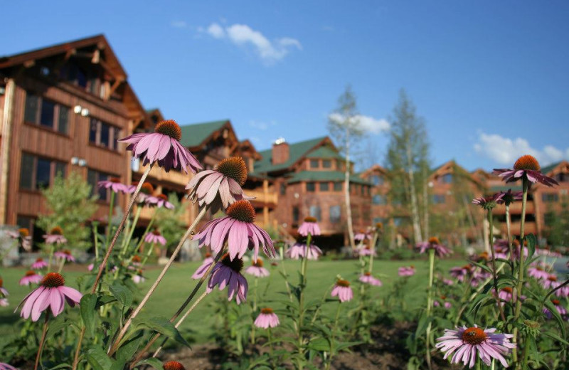 Welcome to The Whiteface Lodge.