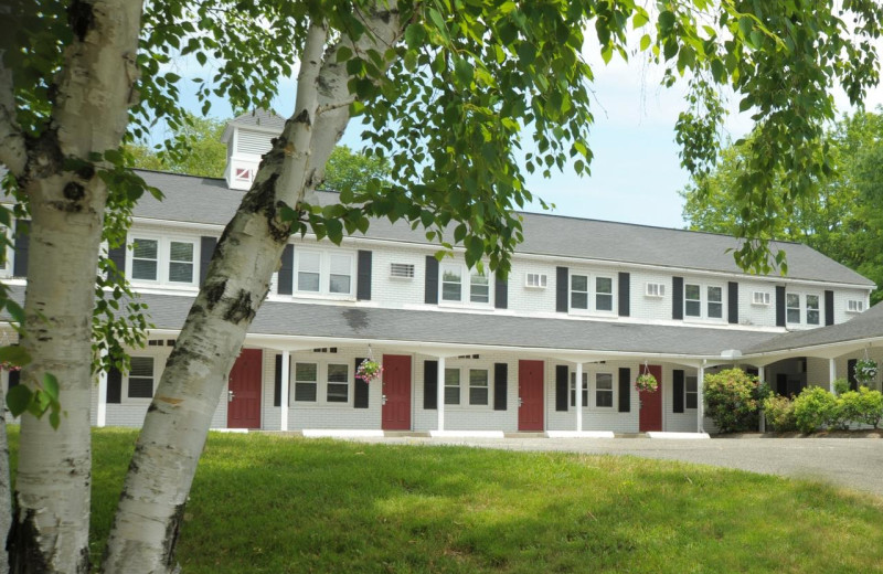 Exterior view of University Lodge.