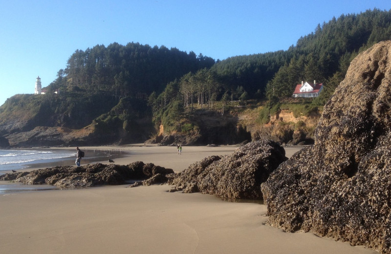 Beach at Old Town Inn.