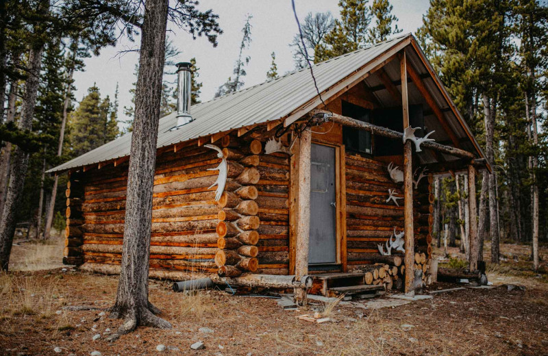 Cabin exterior at Big Creek Lodge.