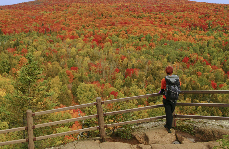 Fall colors at Lutsen Resort on Lake Superior.