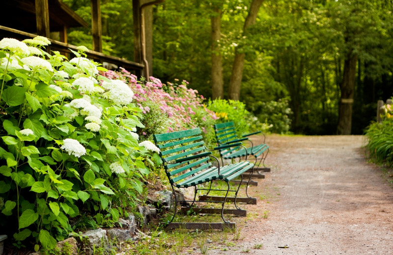 Grounds at Rockywold-Deephaven Camps.