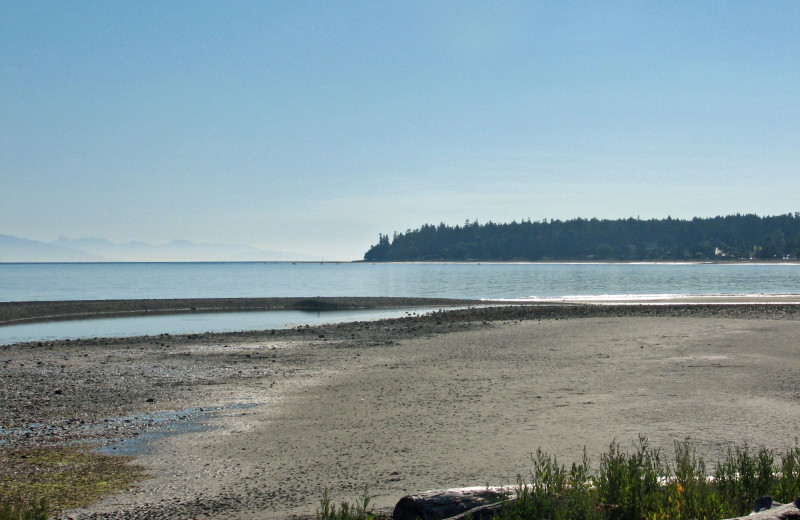 View of the beach at The Shorewater Resort.