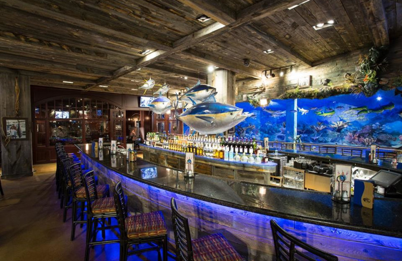 Bar at Big Cypress Lodge.