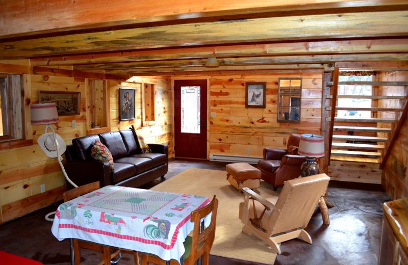 Cabin living room at Backroads Inn and Cabins.