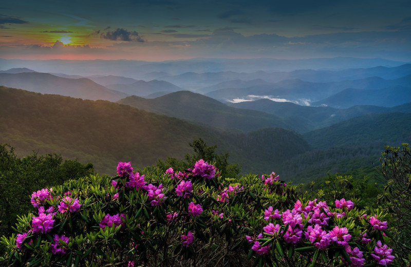Maples Ridge Cabin Rentals Sevierville Tn Resort Reviews