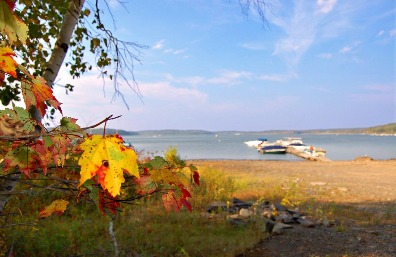 Beach at Lakeside Country Cottages.