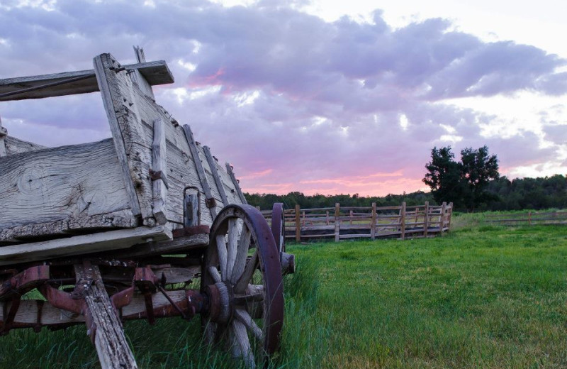 Scenic view at Zion Mountain Ranch.