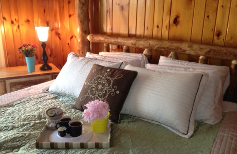 Timber Wolf Lodge (Ely, MN) Resort Reviews