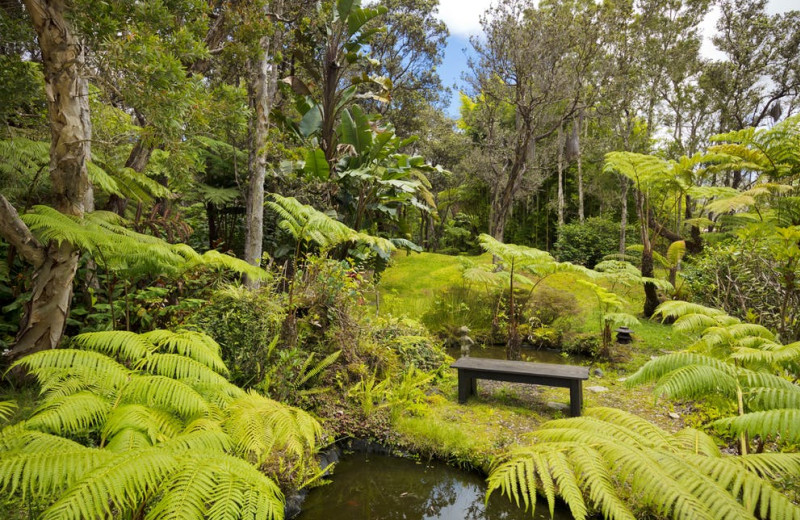 Grounds at Hale 'Ohu Bed & Breakfast.