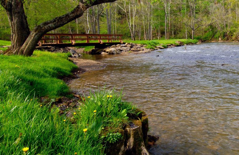 Creek view at Creekside Resort.