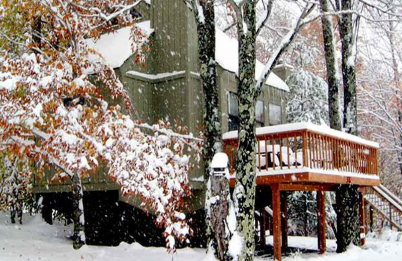 Vacation rental exterior at Black Bear Resort.