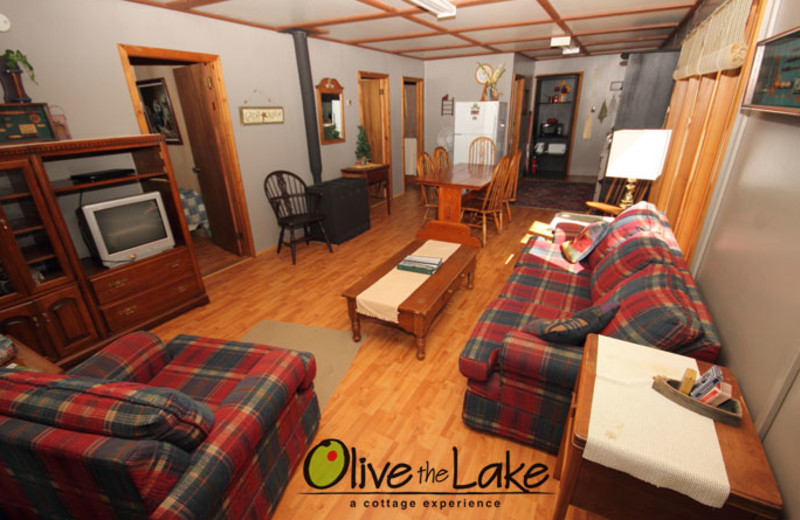 Cabin living room at Olive the Lake.