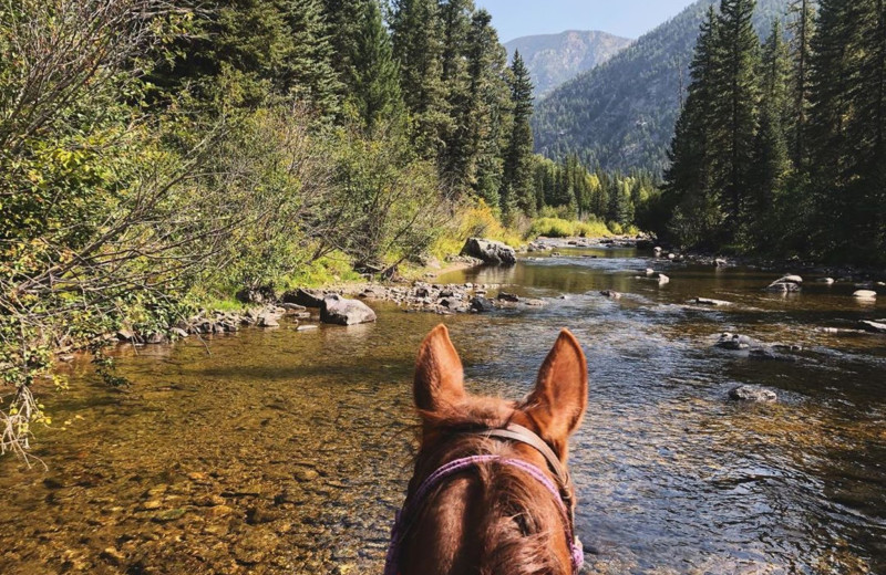 Horseback riding at Colorado Trails Ranch.