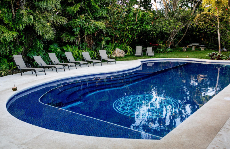 Pool at Pura Vida Spa & Retreat.