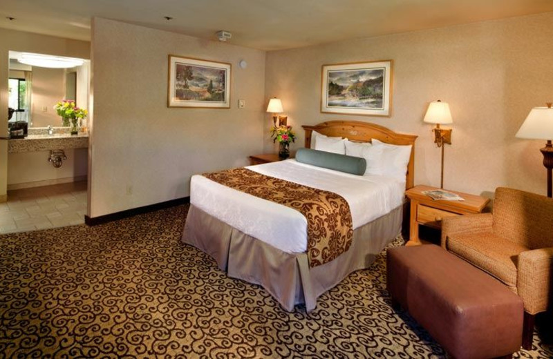 Guest Room at Best Western Plus Inn at the Vines