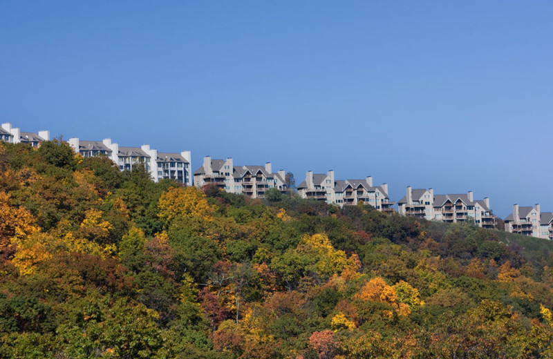 Condos at Wintergreen Resort.