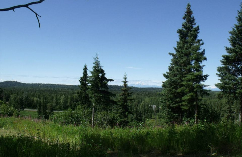 View from Hungry Moose Bed and Breakfast.